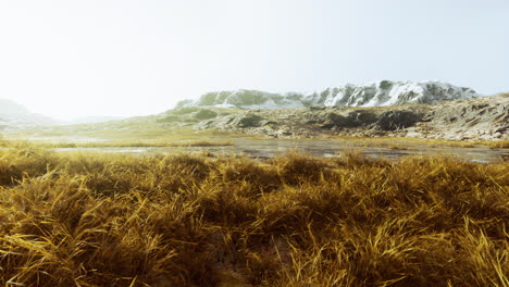 dry-grass-on-the-mountain-with-fog